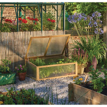 Ladda upp bild till gallerivisning, Grow-It Kallram trä - FSC certifierade trä, 40 x 100 x 65cm Gardman