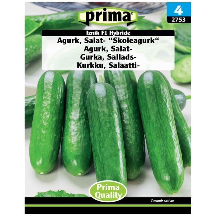 PRIMA® frön - Gurka, Sallads - "Skolgurka" Fausol