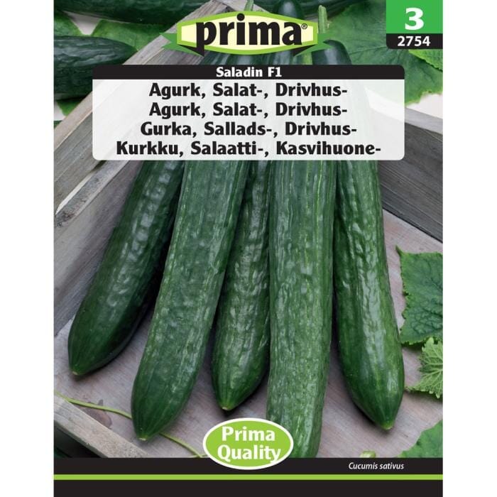 PRIMA® frön - Gurka, Sallads-, Drivhus PRIMA