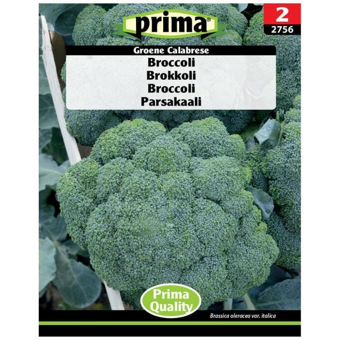 PRIMA® frön - Broccoli Fausol