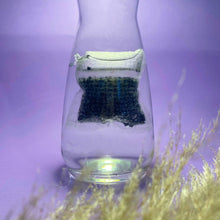 Ladda upp bild till gallerivisning, Le Charbon Actif - vattenfilter från aktiverat växtkol - 2 x 15g pose Le Charbon Actif Francais