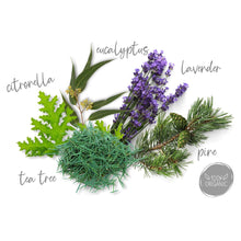 Ladda upp bild till gallerivisning, Terra Gaia ekologisk eterisk olja Roll On - Relax, 10ml Terra Gaia