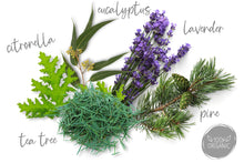 Ladda upp bild till gallerivisning, Terra Gaia ekologisk eterisk olja - Breathe Free, 10ml Terra Gaia