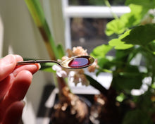 Ladda upp bild till gallerivisning, Schalk Mühle Ekologisk rostad pumpakärnolja - 500 ML Schalk Mühle