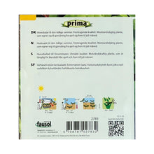 Ladda upp bild till gallerivisning, PRIMA® frön - Sallad, Huvud- PRIMA