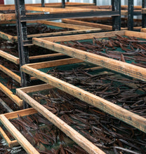 Ladda upp bild till gallerivisning, Suztain Certifierad Ekologiska Vaniljstänger – 5 Stk SE Suztain