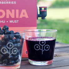 Ladda upp bild till gallerivisning, Finnish Superberries - Ekologisk aroniasaft - 3L Finnish Superberries