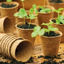 Ladda upp bild till gallerivisning, GroSure - Fiberkrukor / Fiberpots - Runda 8 cm / 12 st Gardman