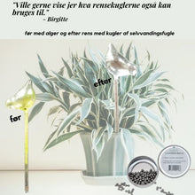 Ladda upp bild till gallerivisning, Rostfritt stål kulor til diskning av kalk och smuts i vas och flaskor GreenGenius