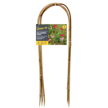 Ladda upp bild till gallerivisning, Grow It - Bambubågar för stöd till växter - Blomhållare- 60 cm Gardman 
