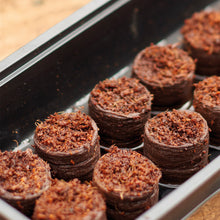 Ladda upp bild till gallerivisning, Grow It - Odlingsplugg av kokoskompost - Dyrkningsbriketter - 50 st Gardman