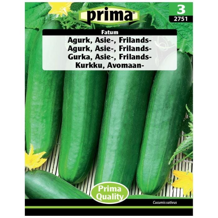 PRIMA® frön - Gurka, Asie-, Frilands Fausol 
