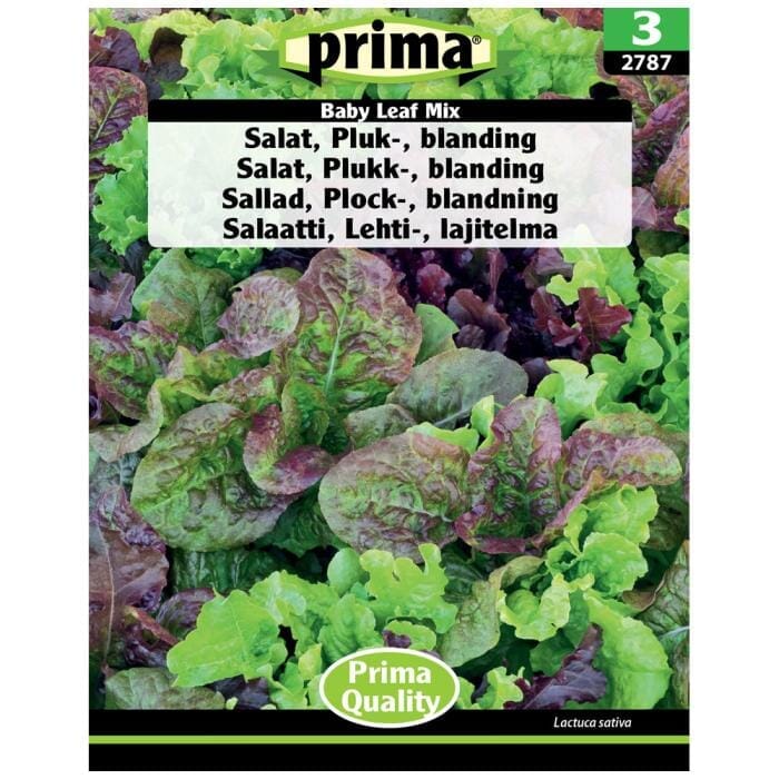 PRIMA® frön - Sallad, Plock-, blandning PRIMA 