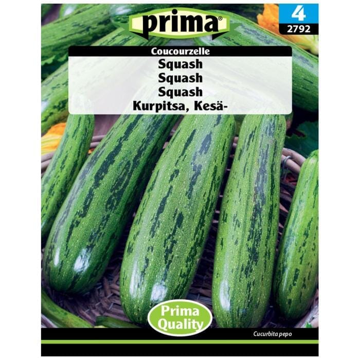 PRIMA® frön - Squash, Coucourzelle PRIMA 