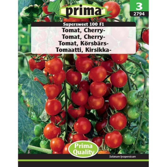 PRIMA® frön - Tomat, Körsbärs- PRIMA 