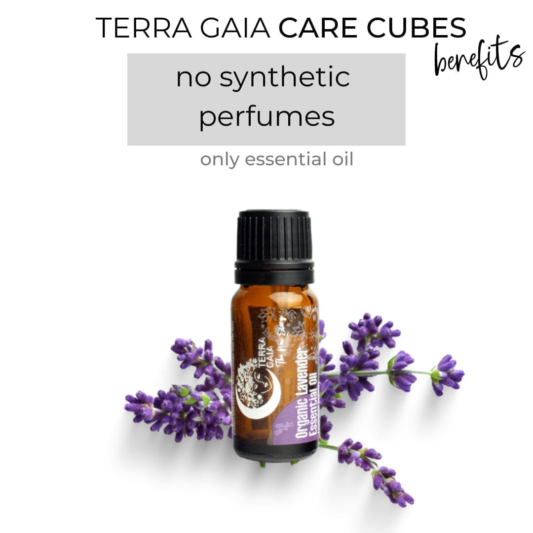 Terra Gaia ekologisk eterisk olja - Lavendel, 30ml Terra Gaia 