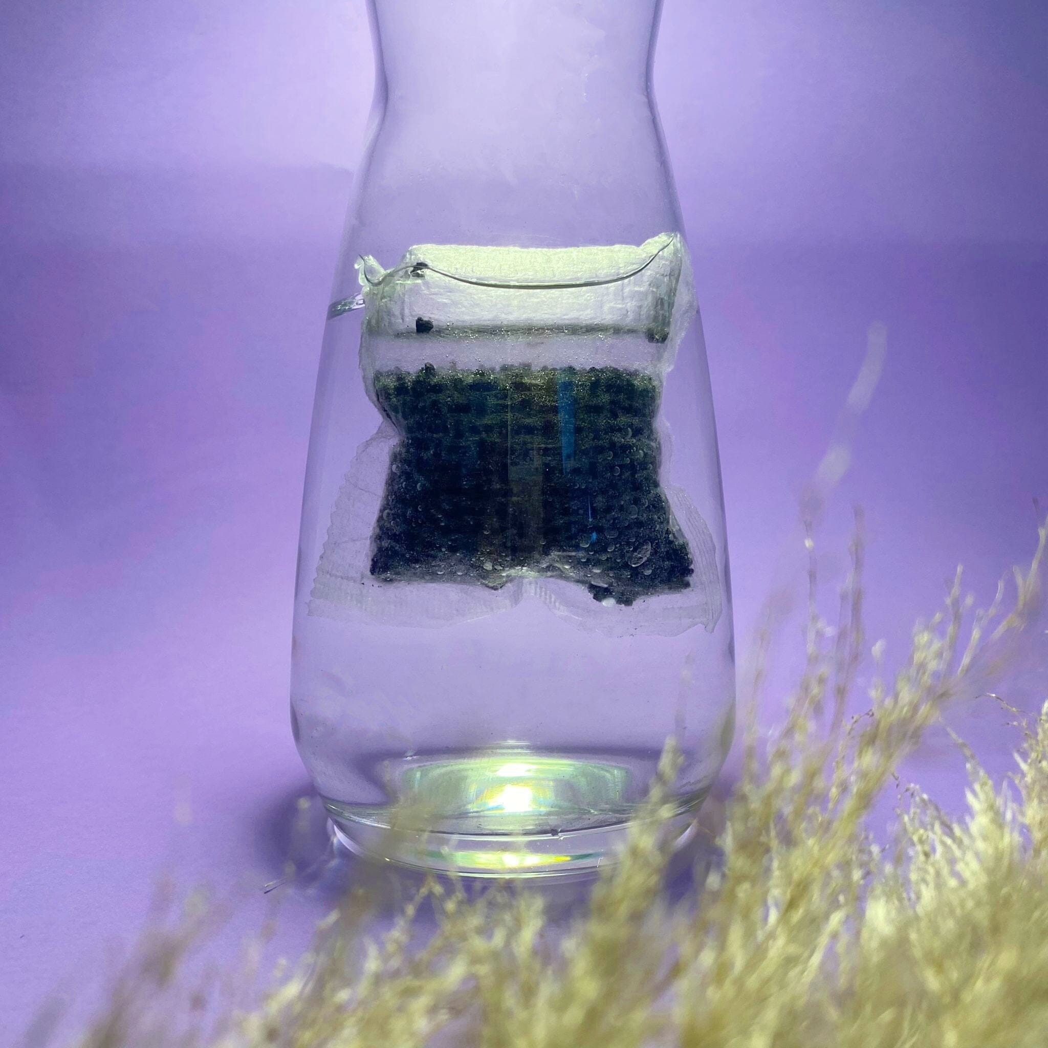 Le Charbon Actif - vattenfilter från aktiverat växtkol - 2 x 15g pose Le Charbon Actif Francais 