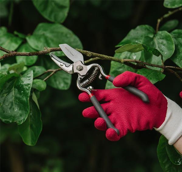 Kent & Stowe bambu och naturlatex trädgårdshandskar (S) Kent & Stowe 