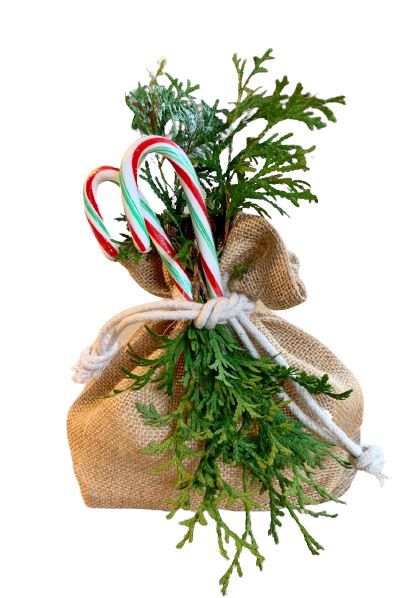 Suztain Jute Påse - 3L - 20x20x8 cm - 1 st. Suztain 