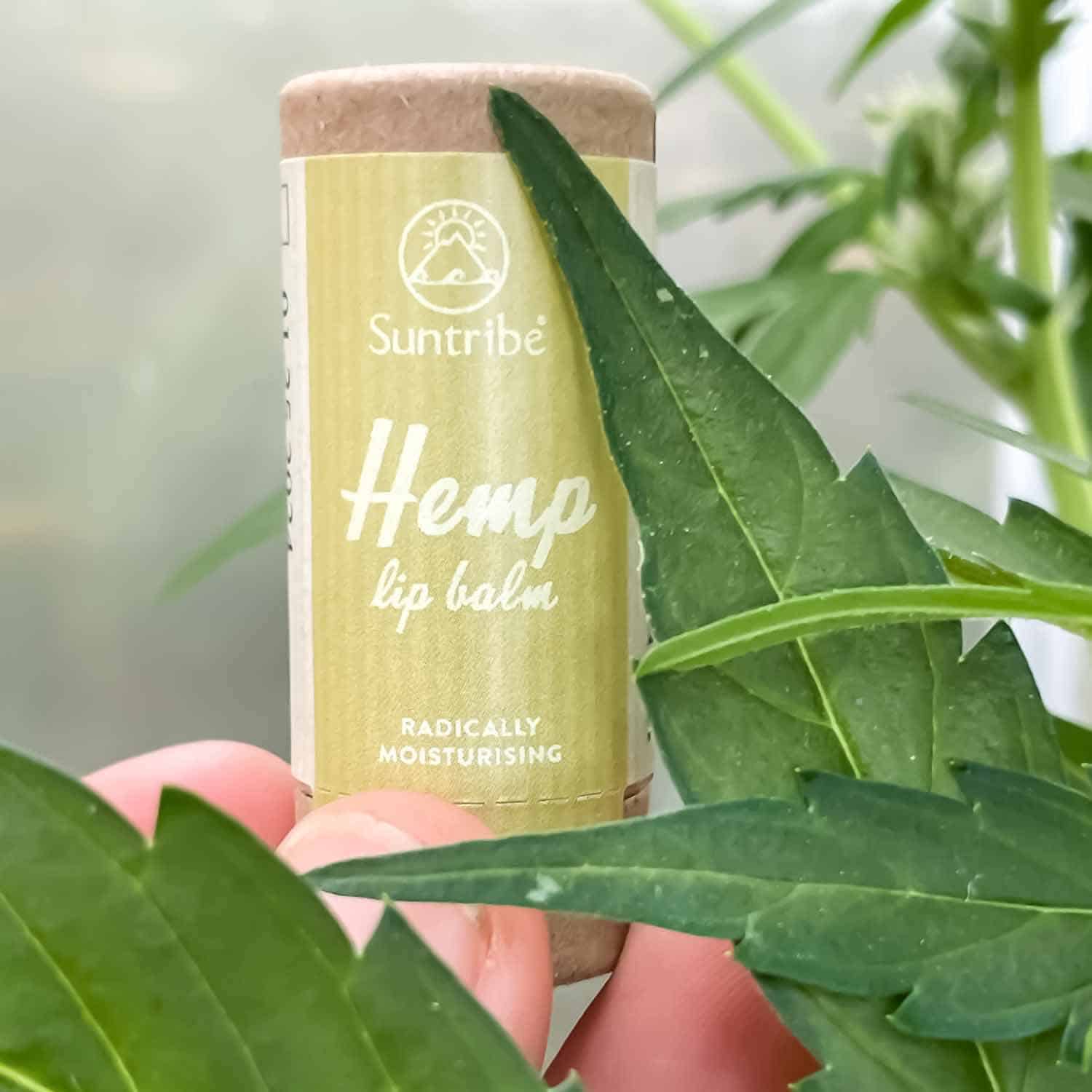 Suntribe - All Natural Radical Moisture Hemp Lip Balm, 6g Suntribe 