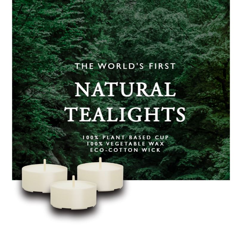 C-Lights - Värmeljus - Rapsvax - utan doft - 100 stk C-Lights 