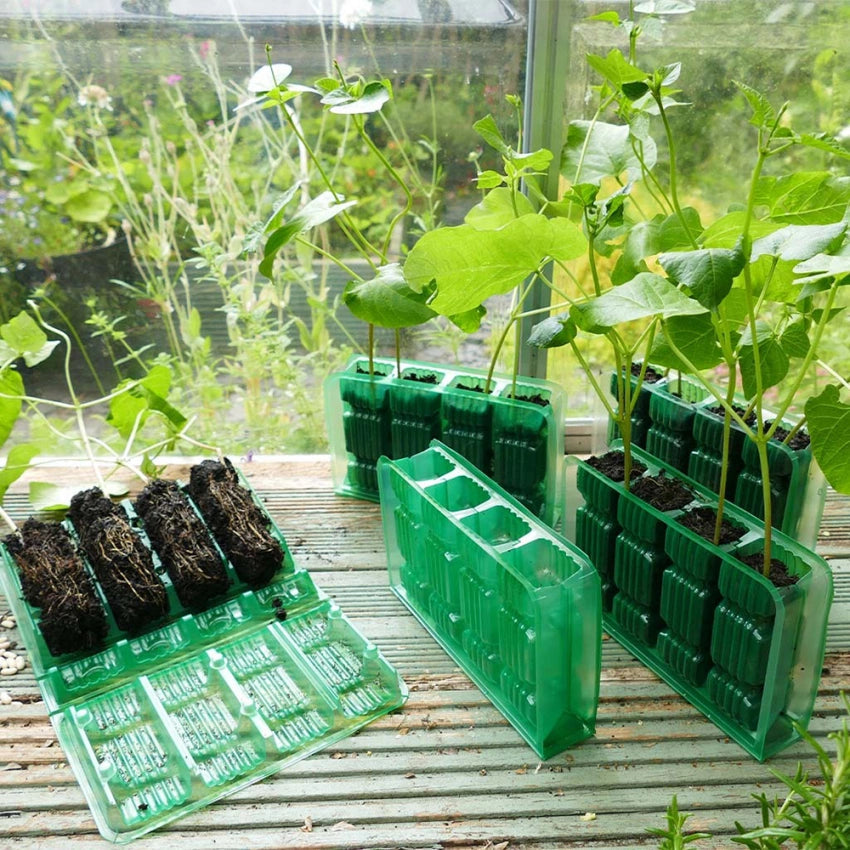 GroSure - Visiroot 4 Cell DEEP Förökningssats - Minidrivhus Gardman 