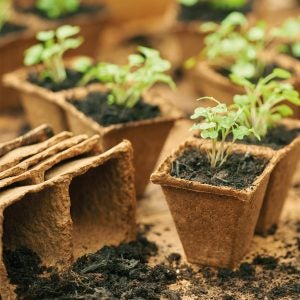 GroSure - Fiberkrukor / Fiberpots - Fyrkant 6 cm / 20 st Gardman 