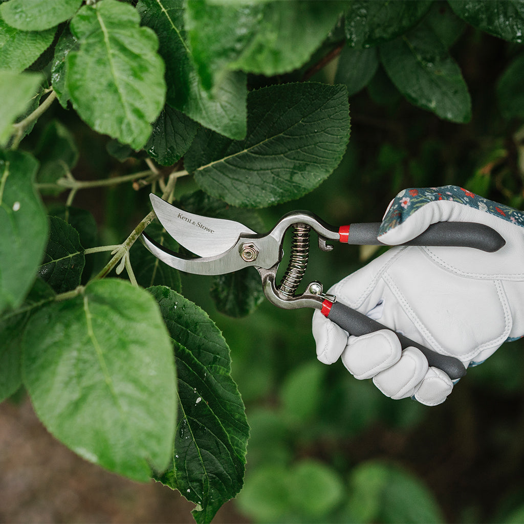 Kent & Stowe Tvåskärssekatör - 18 mm Kent & Stowe 